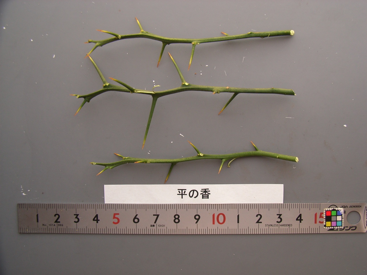 果实 (MAFF, Japan)