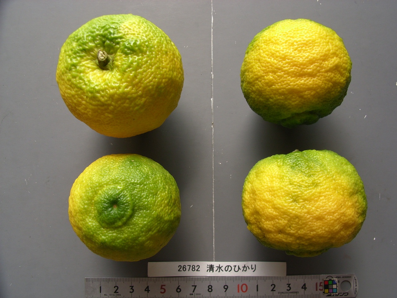 果实 (MAFF, Japan)