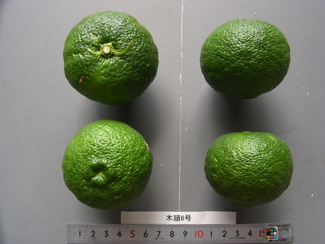 果实 (MAFF, Japan)