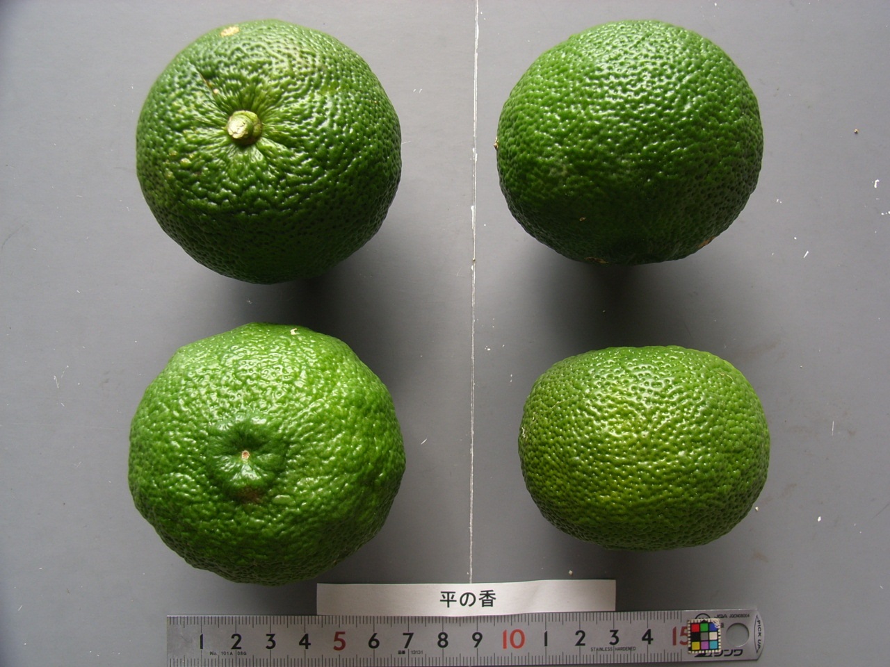 果实 (MAFF, Japan)