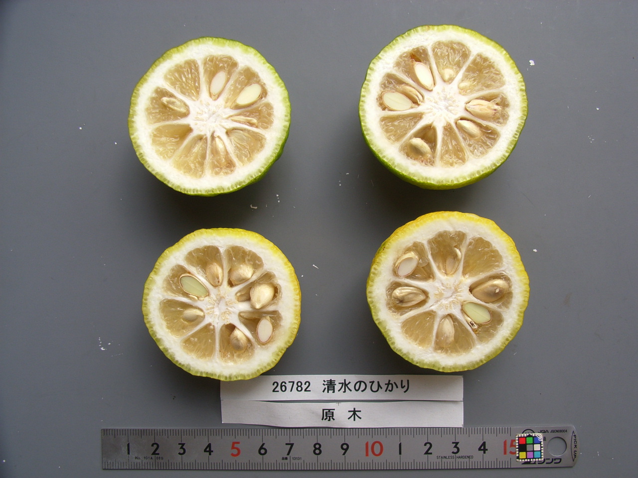 果实 (MAFF, Japan)