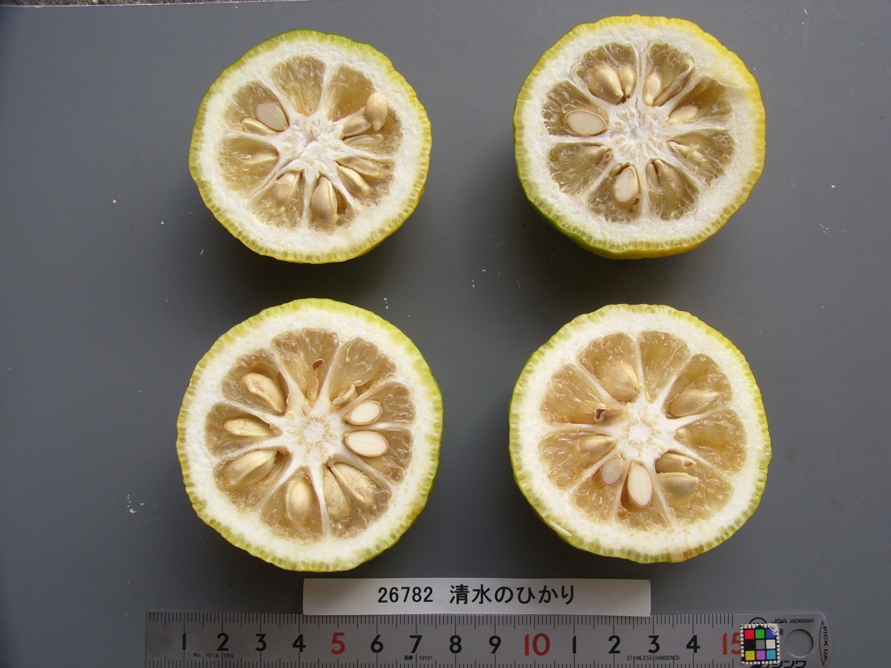 果实 (MAFF, Japan)