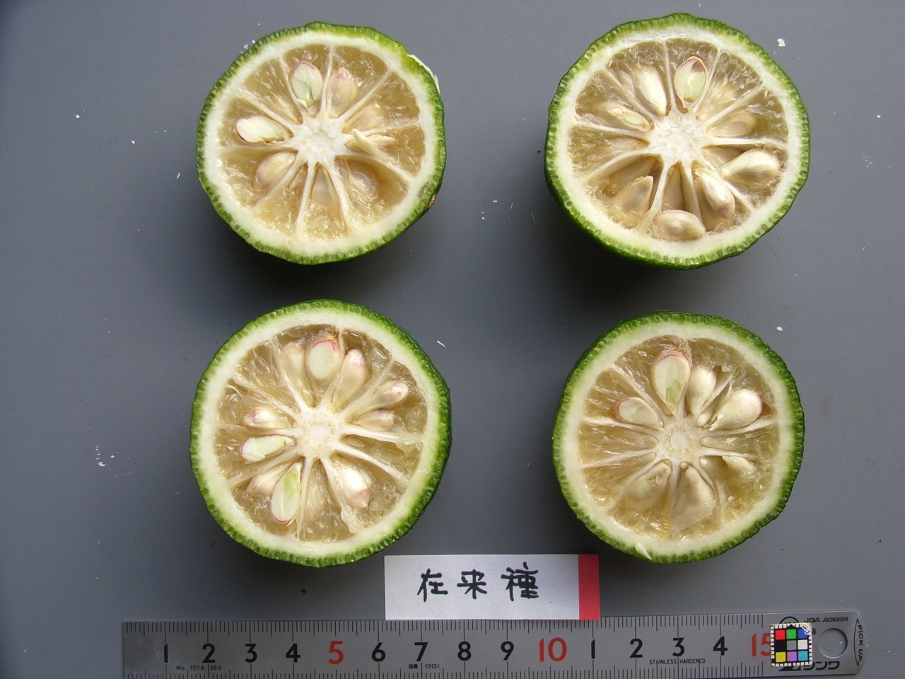 树体 (MAFF, Japan)