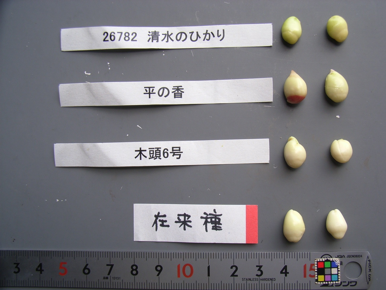 果实 (MAFF, Japan)