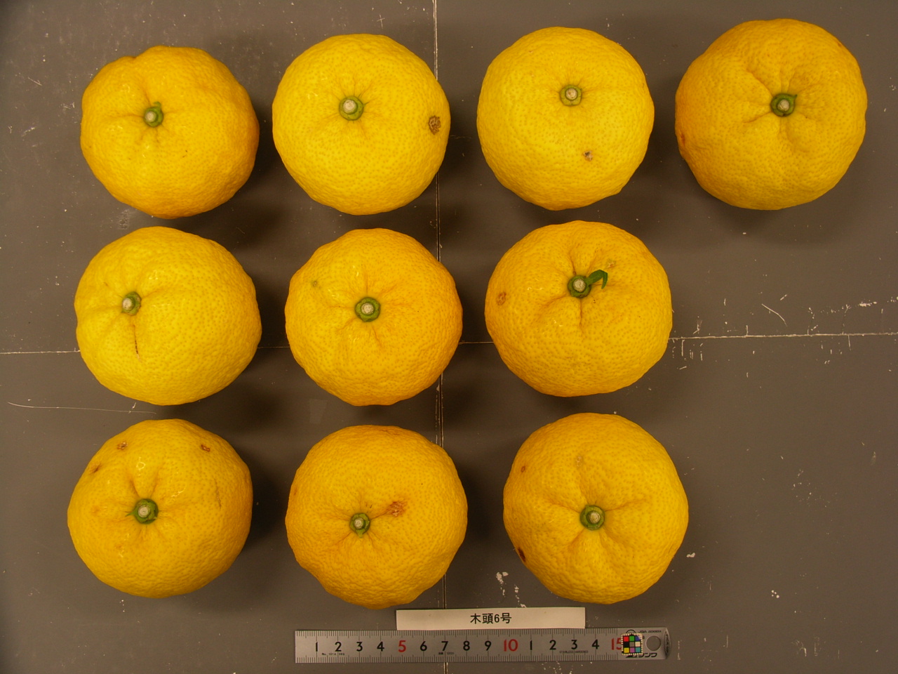 果实 (MAFF, Japan)