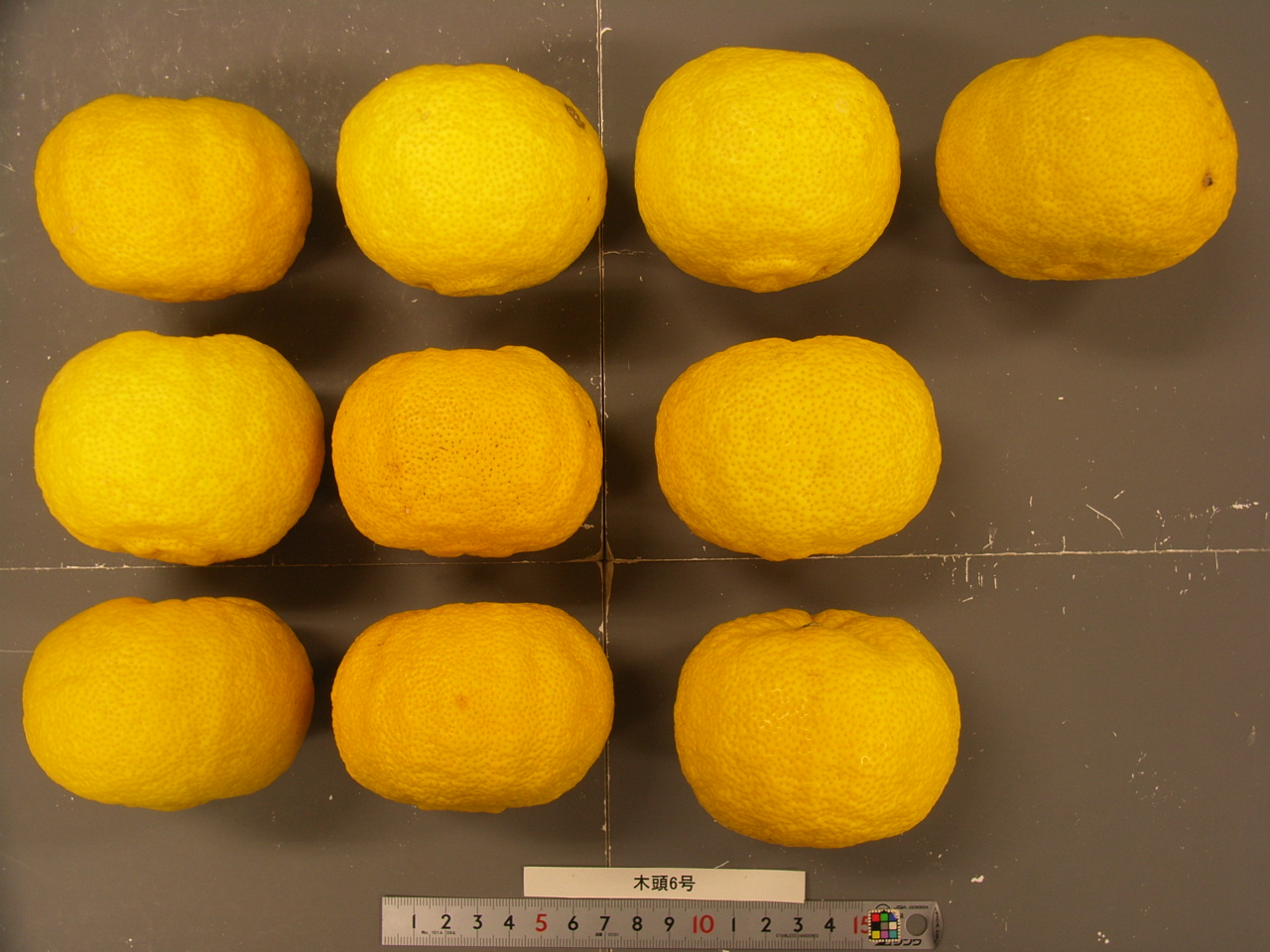 果实 (MAFF, Japan)