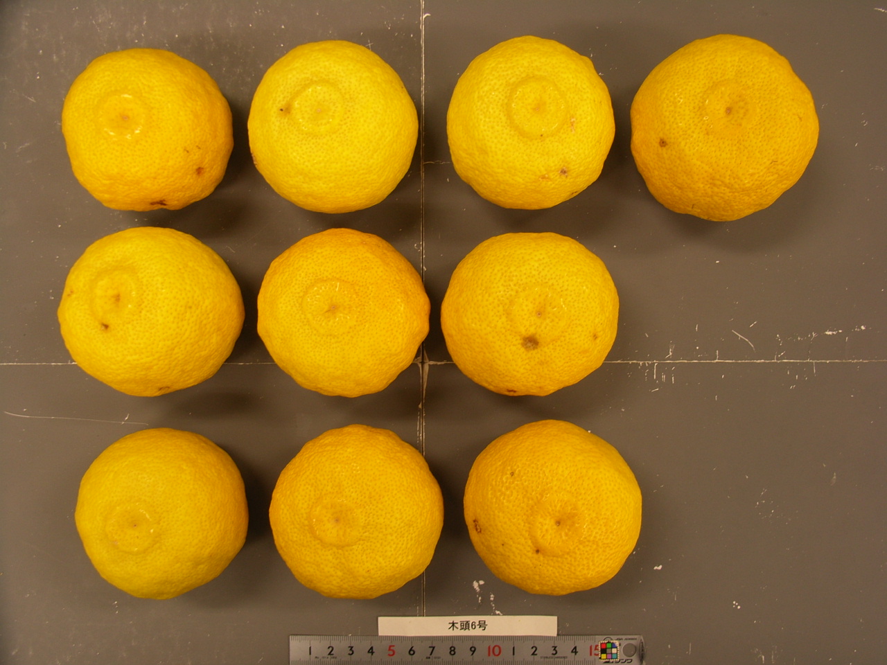 果实 (MAFF, Japan)