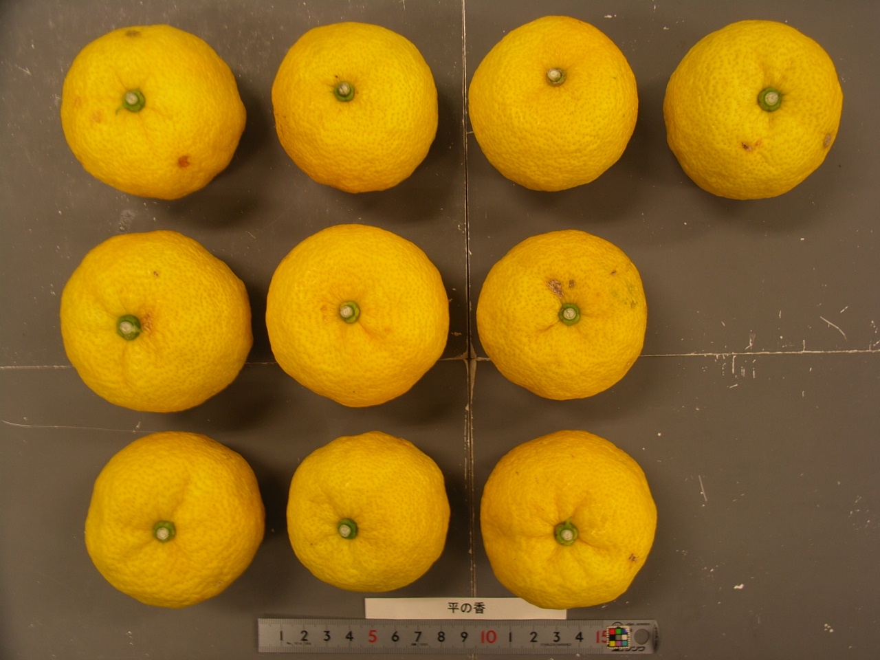 果实 (MAFF, Japan)