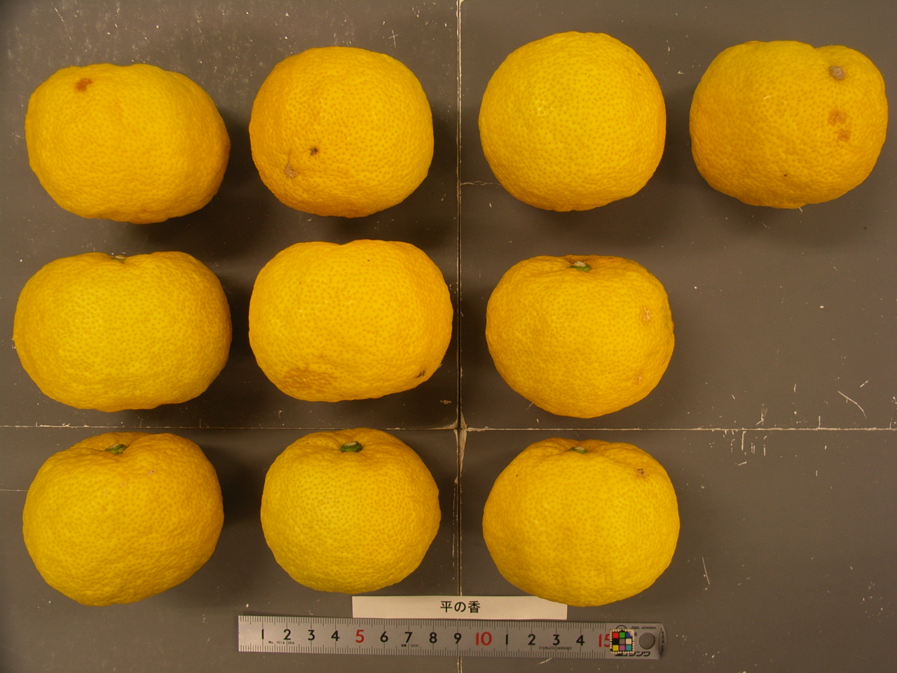 果实 (MAFF, Japan)