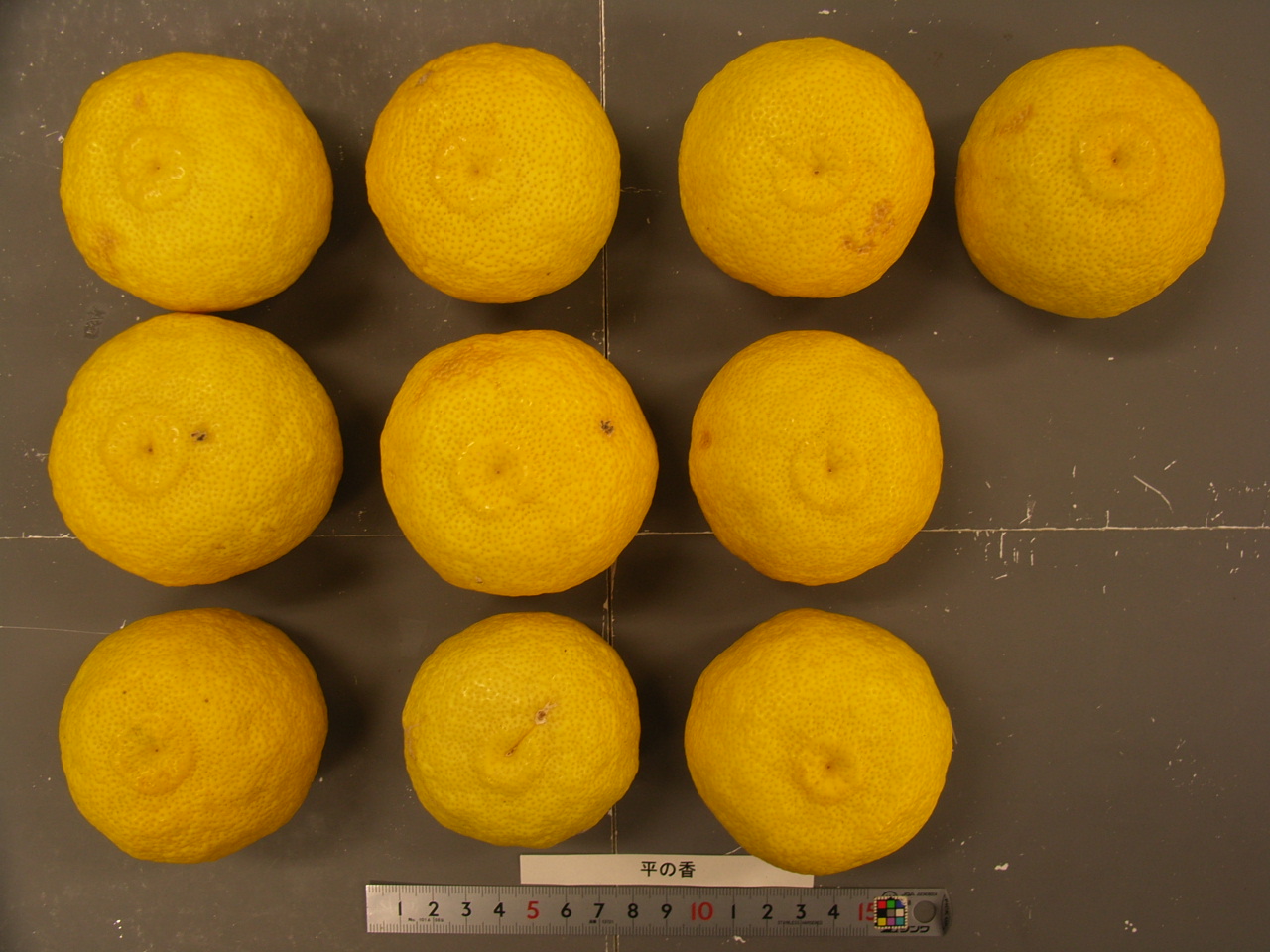 果实 (MAFF, Japan)