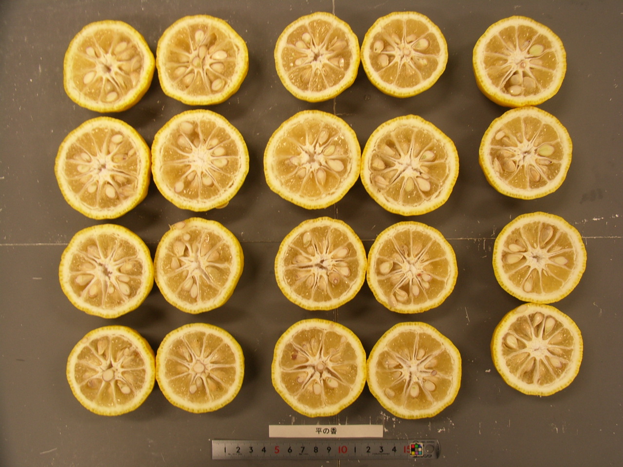 果实 (MAFF, Japan)