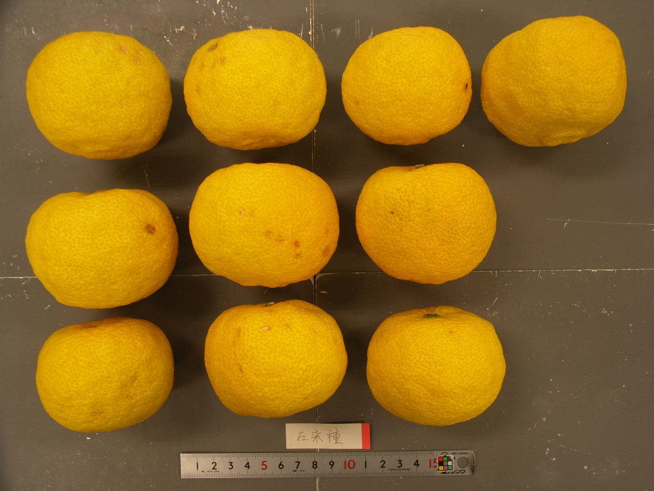 果实 (MAFF, Japan)