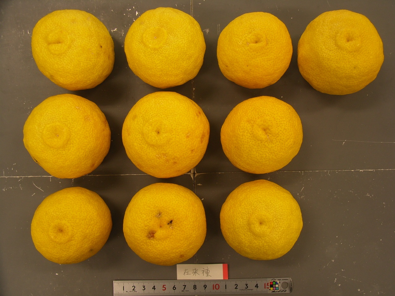 果实 (MAFF, Japan)