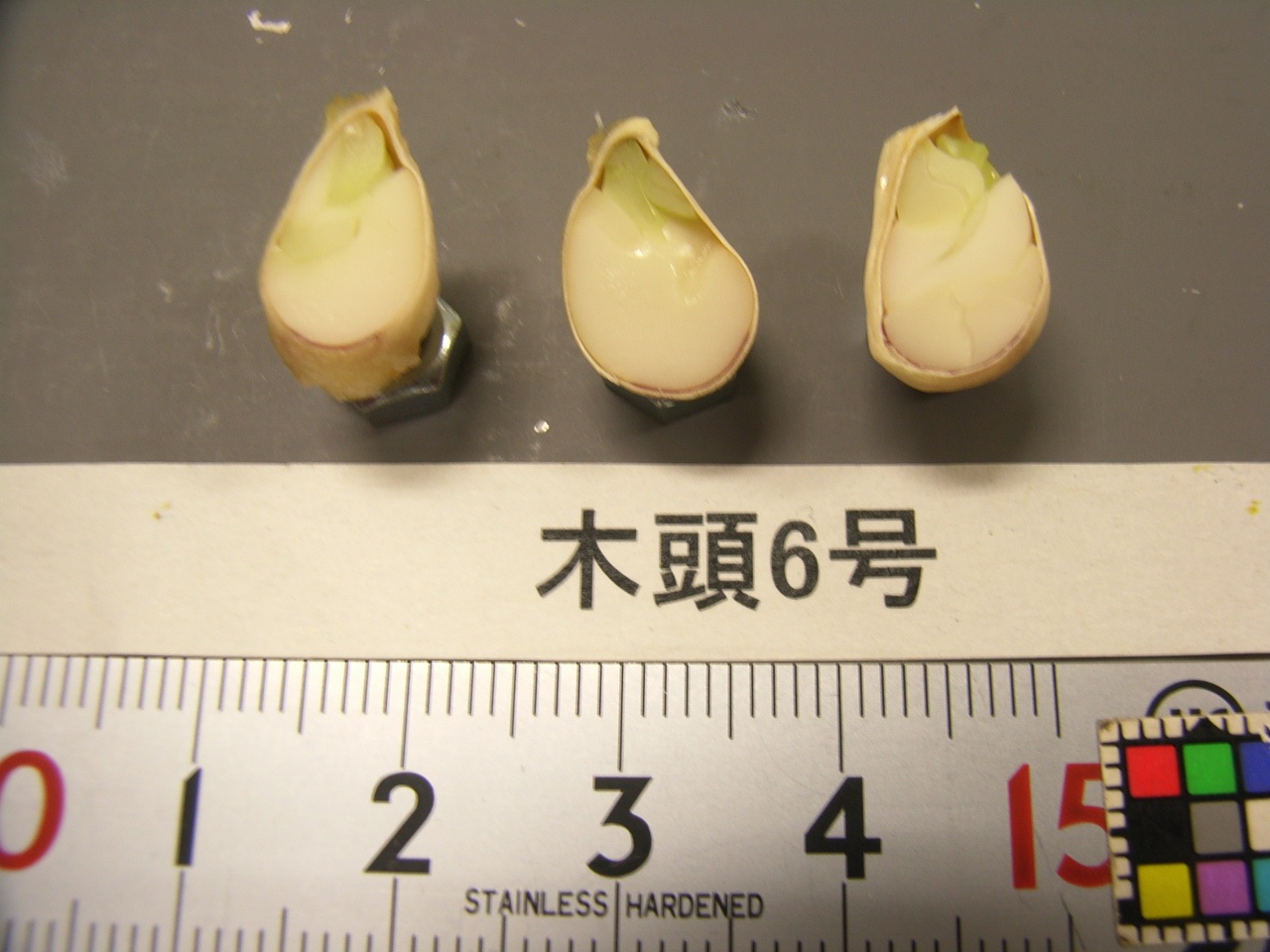 果实 (MAFF, Japan)