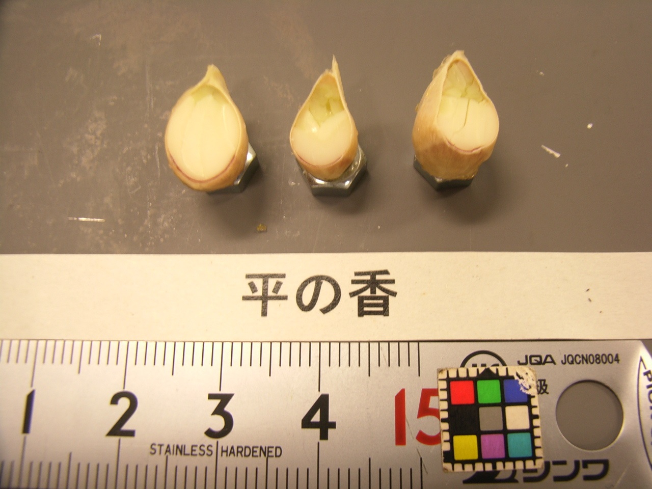 树体 (MAFF, Japan)