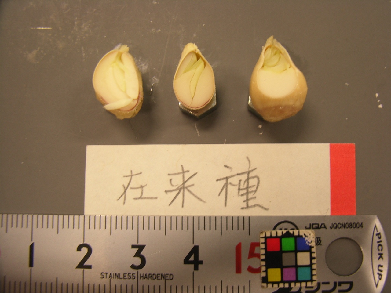 果实 (MAFF, Japan)