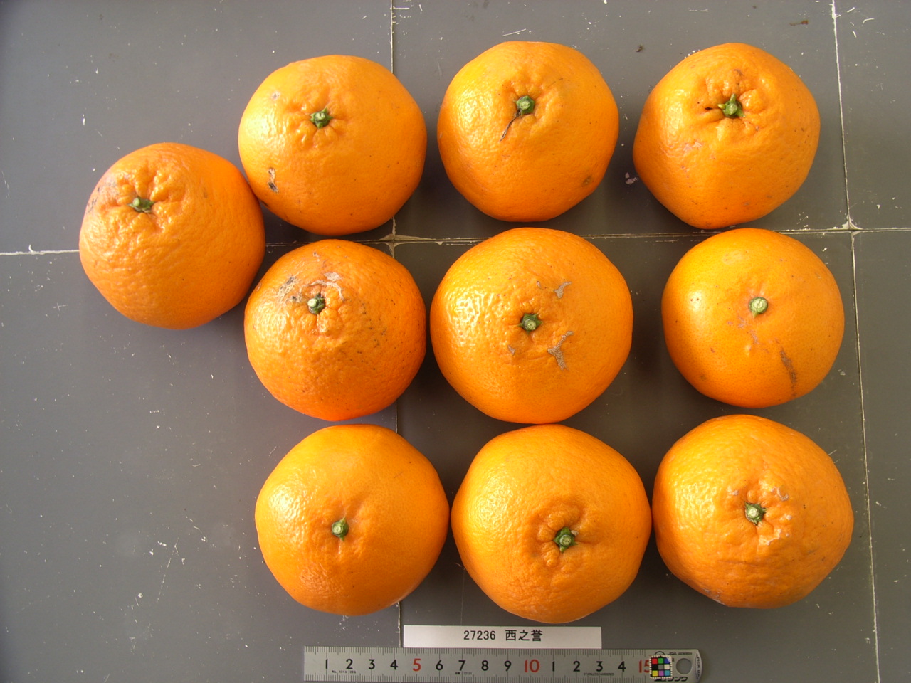 果实 (MAFF, Japan)