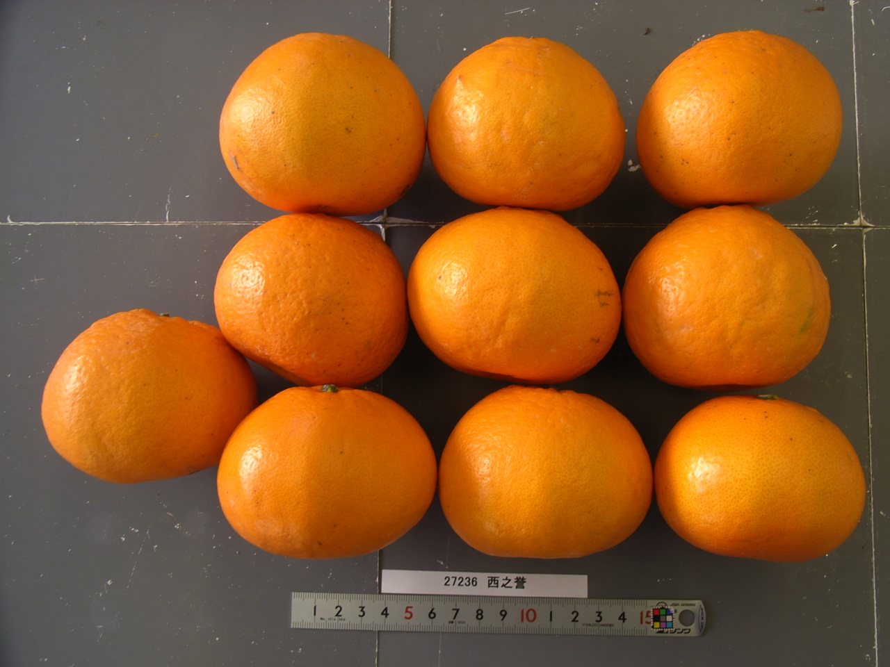 果实 (MAFF, Japan)