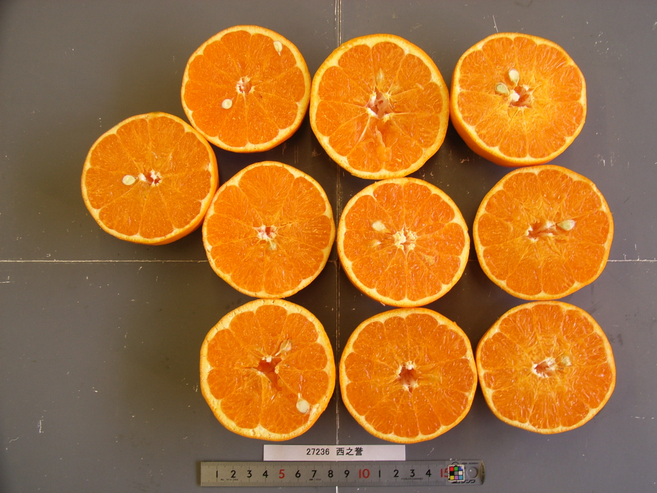 果实 (MAFF, Japan)