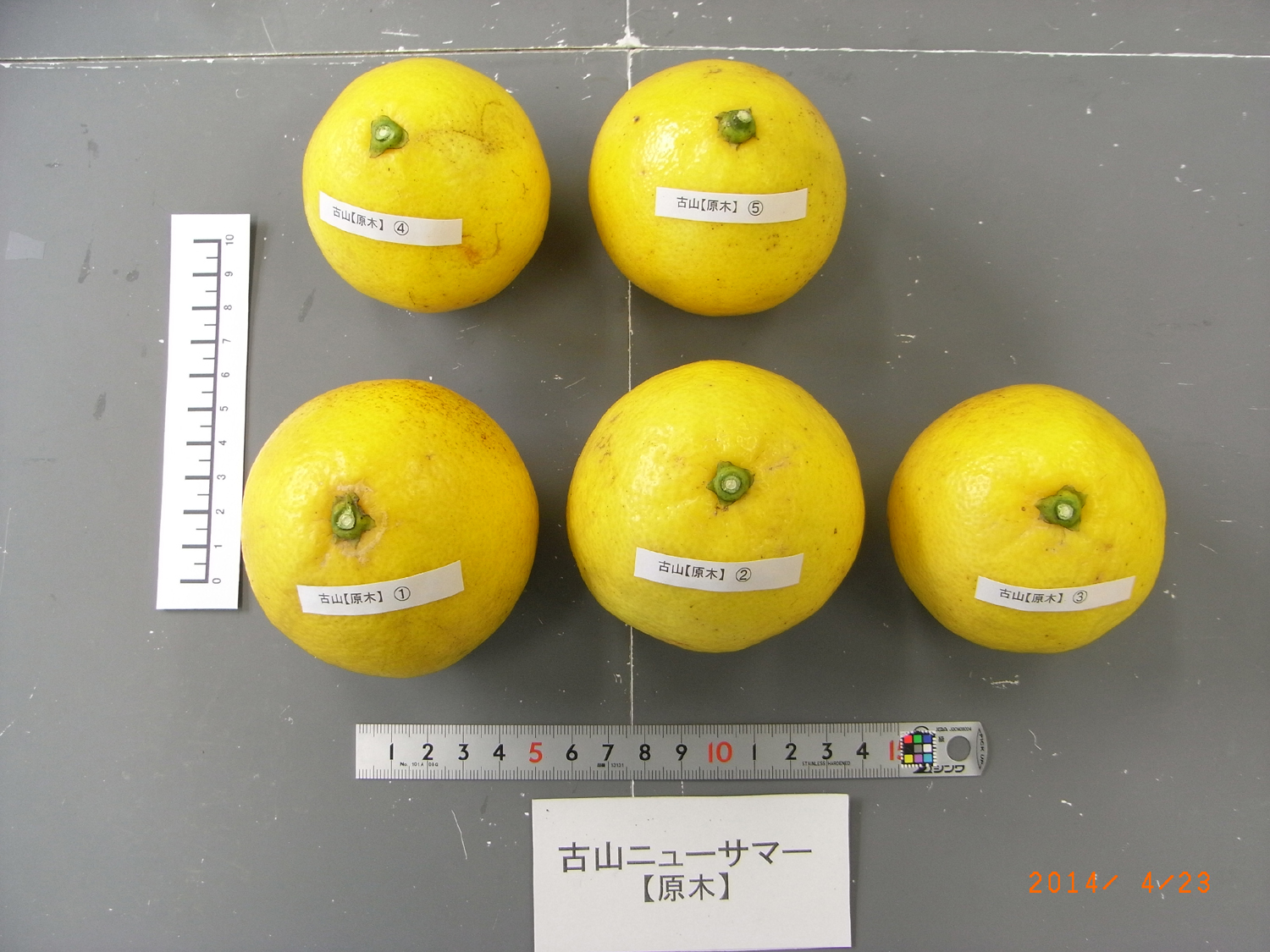 果实 (MAFF, Japan)