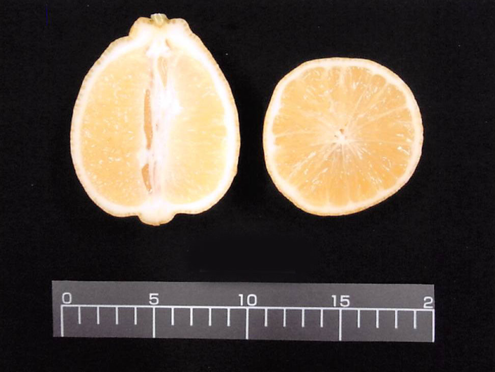 果实 (MAFF, Japan)