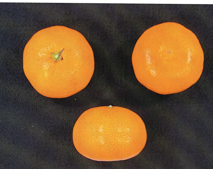 果实 (MAFF, Japan)