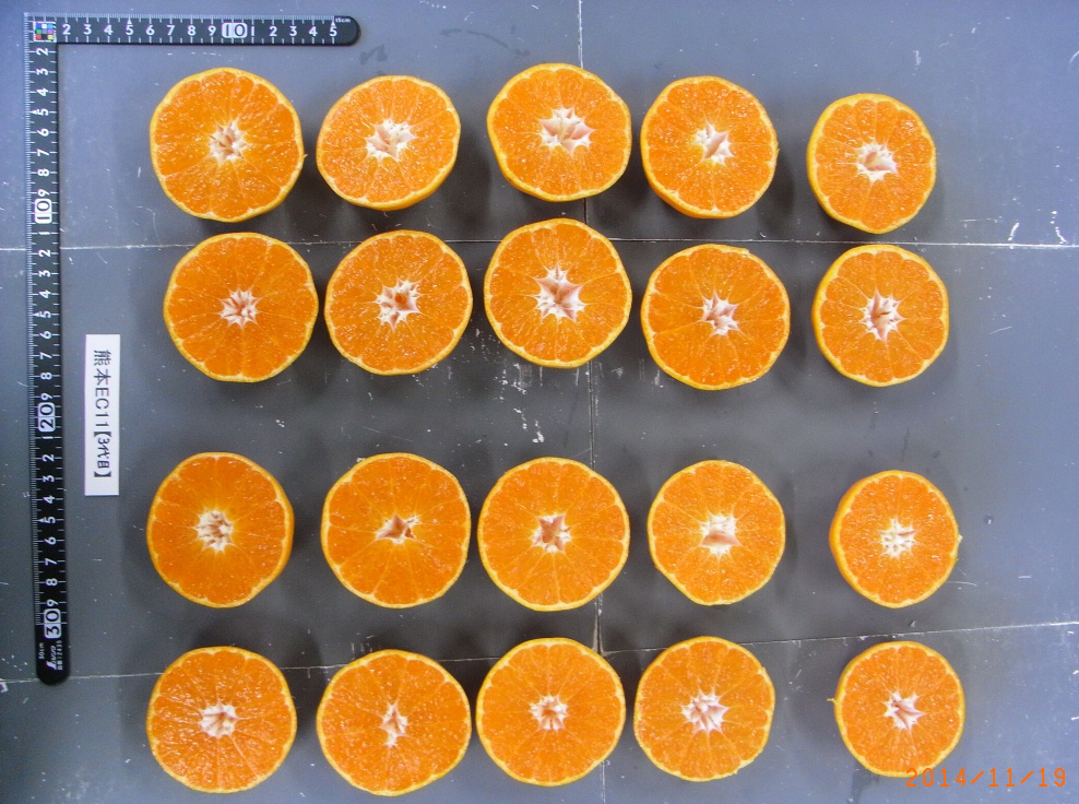 果实 (MAFF, Japan)