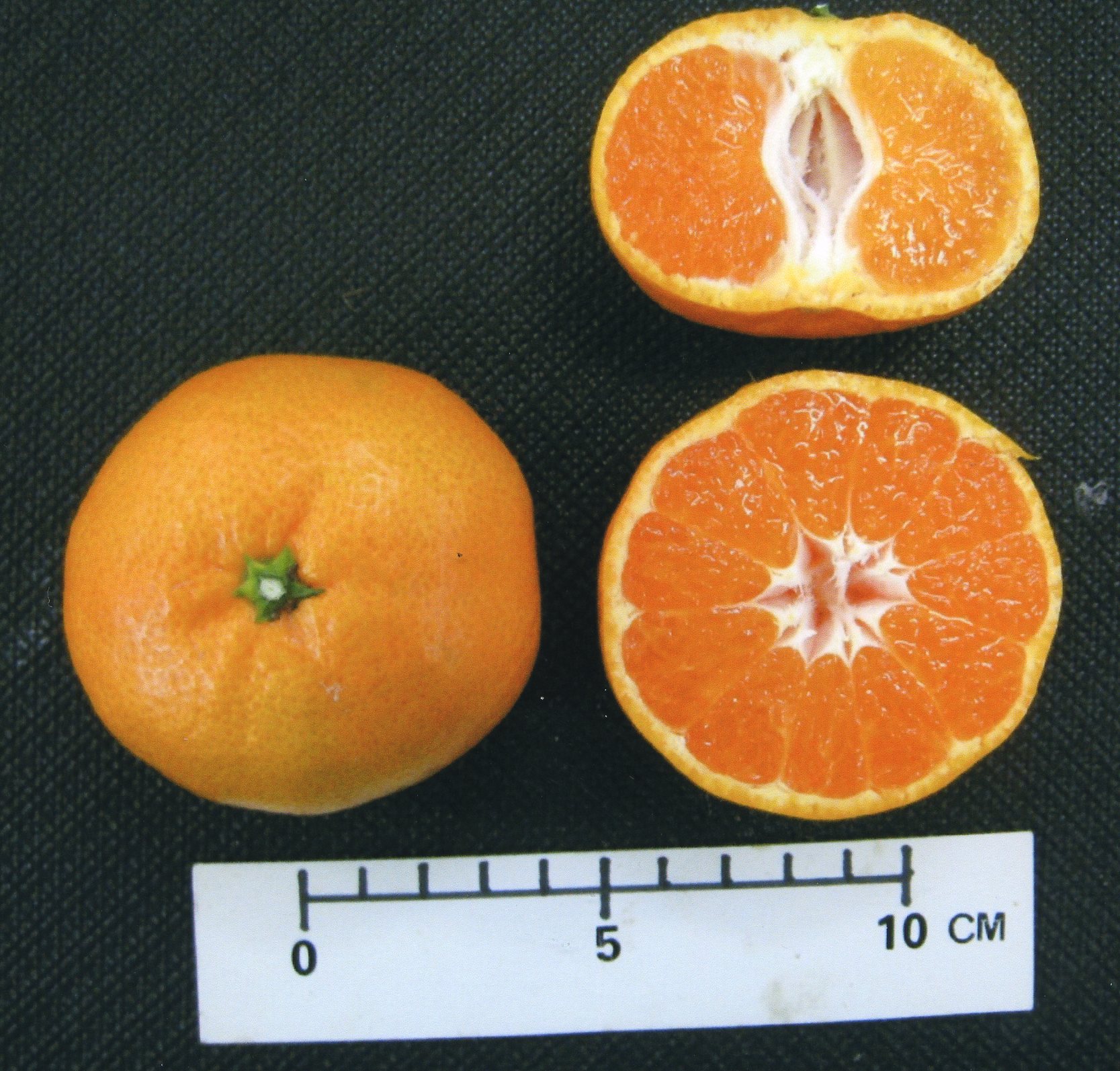 果实 (MAFF, Japan)