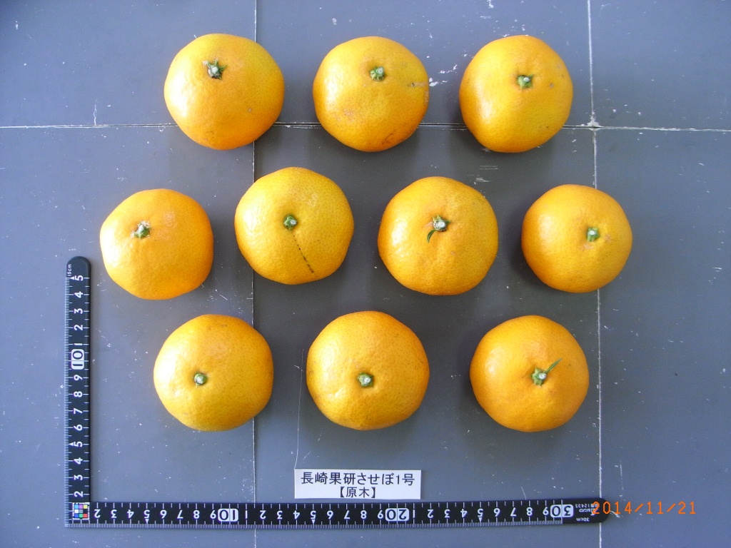 果实 (MAFF, Japan)