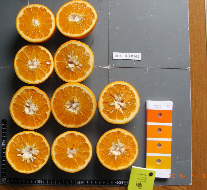 果实 (MAFF, Japan)