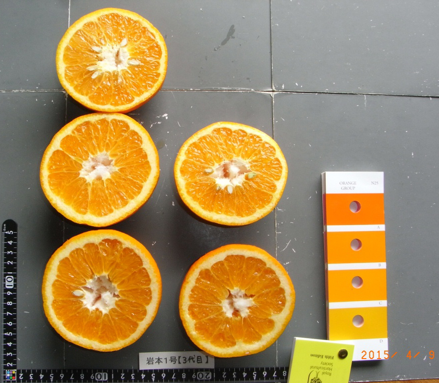 果实 (MAFF, Japan)