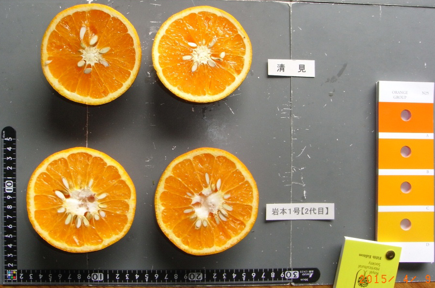 果实 (MAFF, Japan)