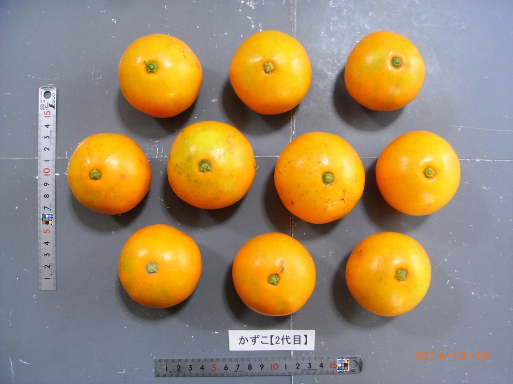 果实 (MAFF, Japan)