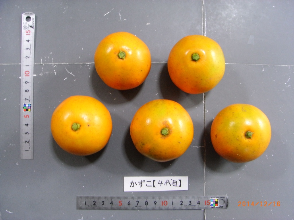 果实 (MAFF, Japan)