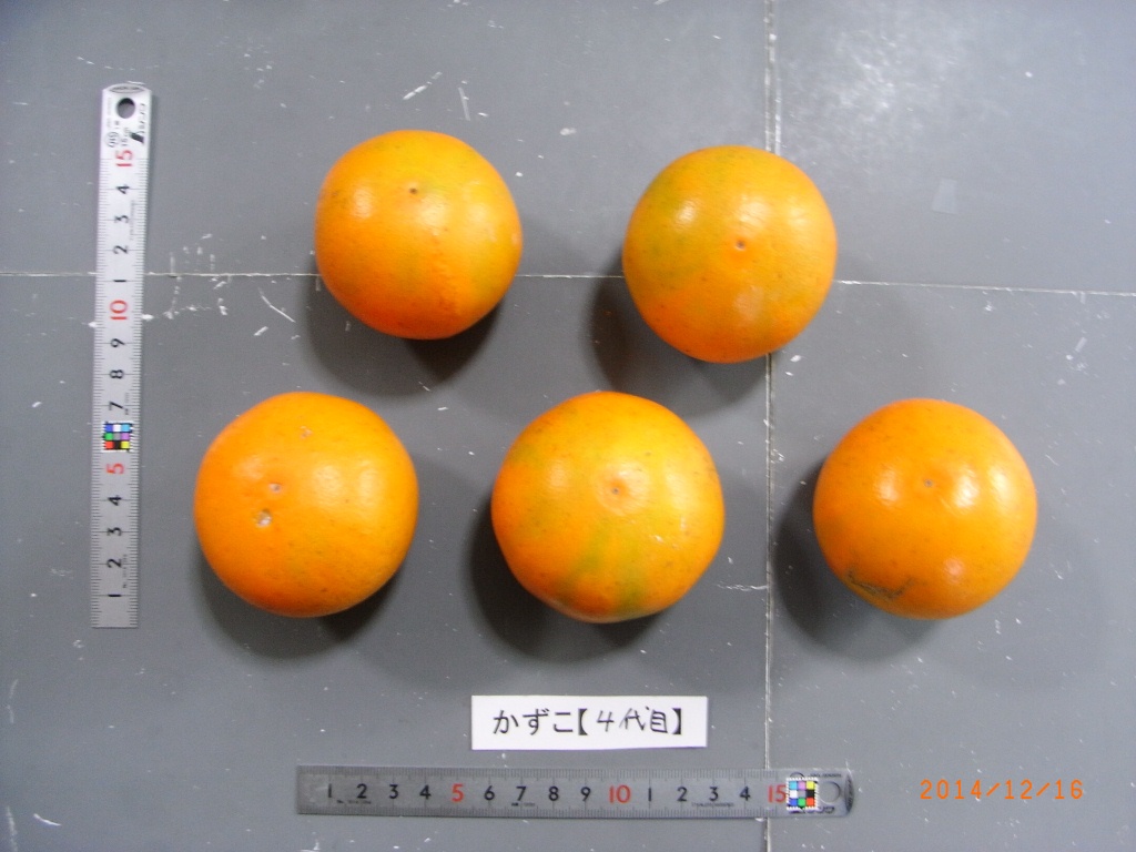 果实 (MAFF, Japan)