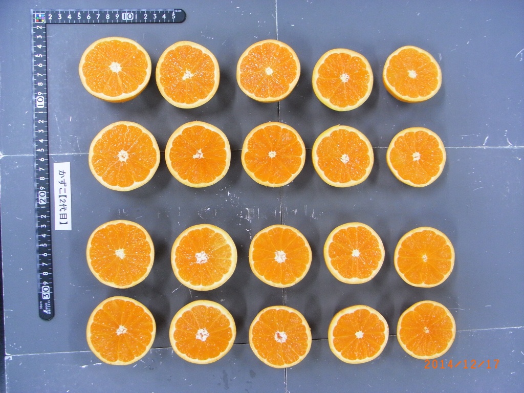 果实 (MAFF, Japan)