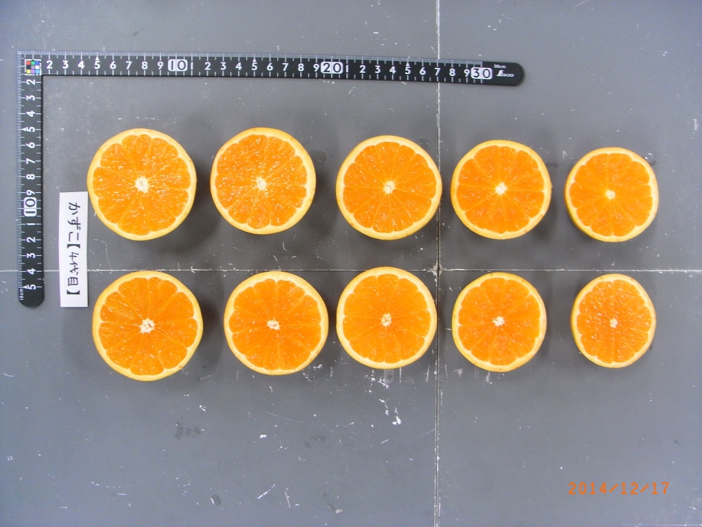 果实 (MAFF, Japan)