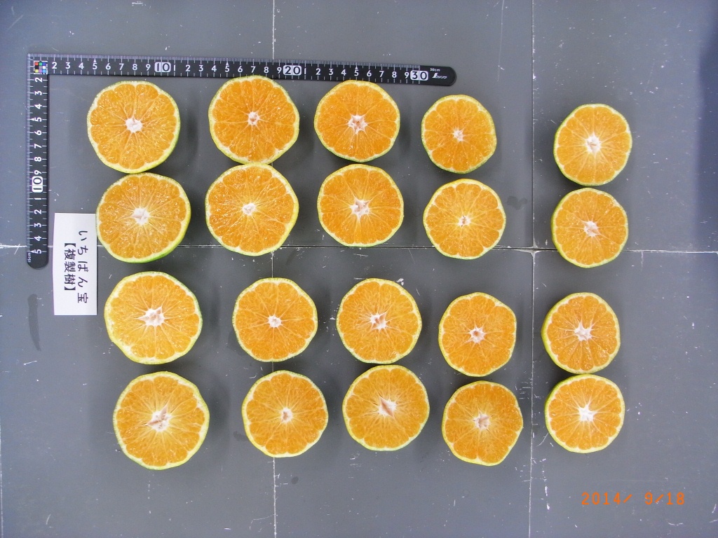 果实 (MAFF, Japan)