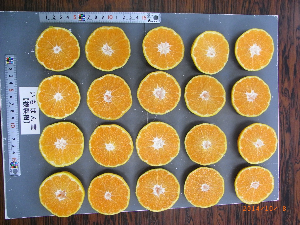 果实 (MAFF, Japan)