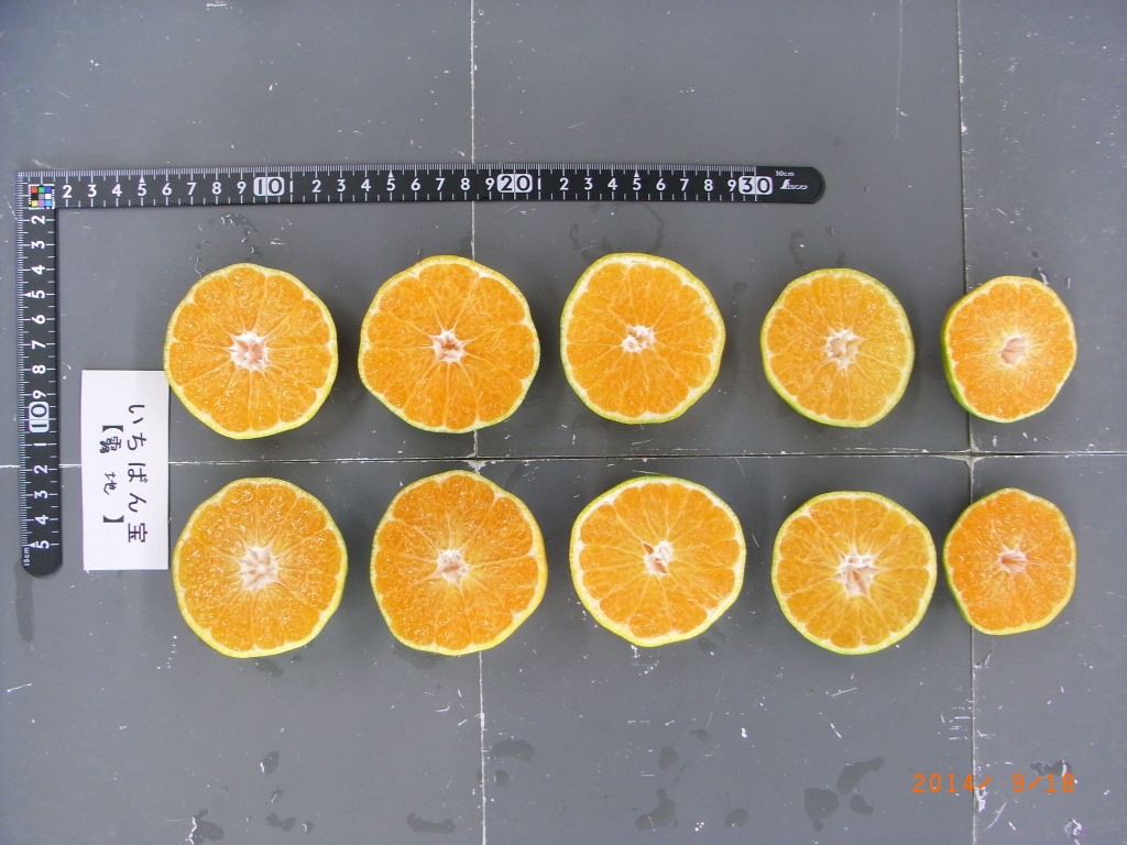 果实 (MAFF, Japan)