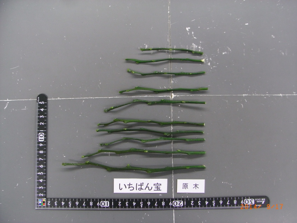 果实 (MAFF, Japan)