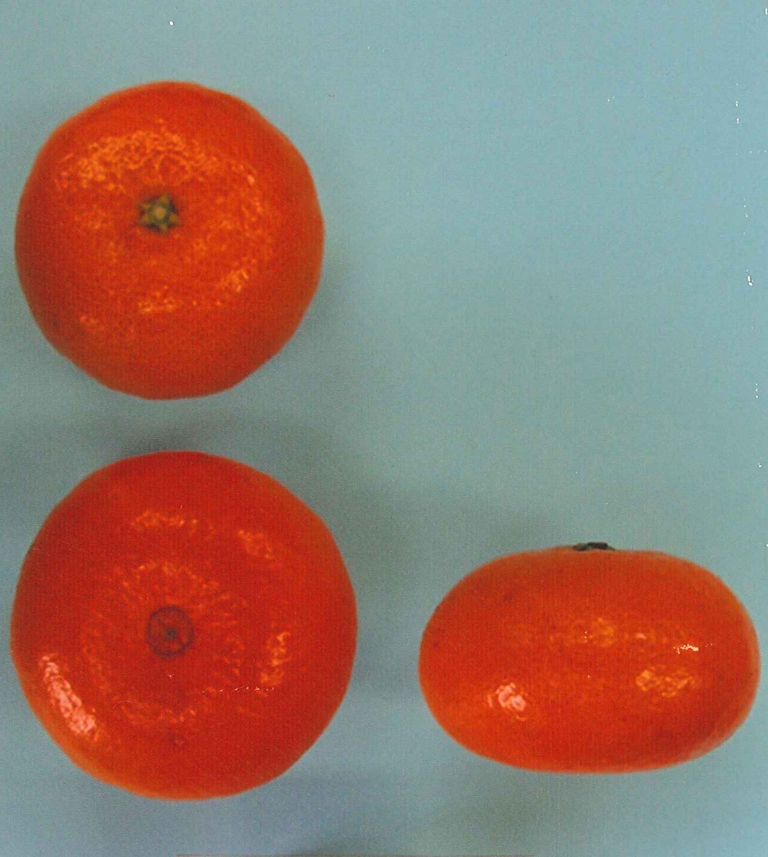 果实 (MAFF, Japan)