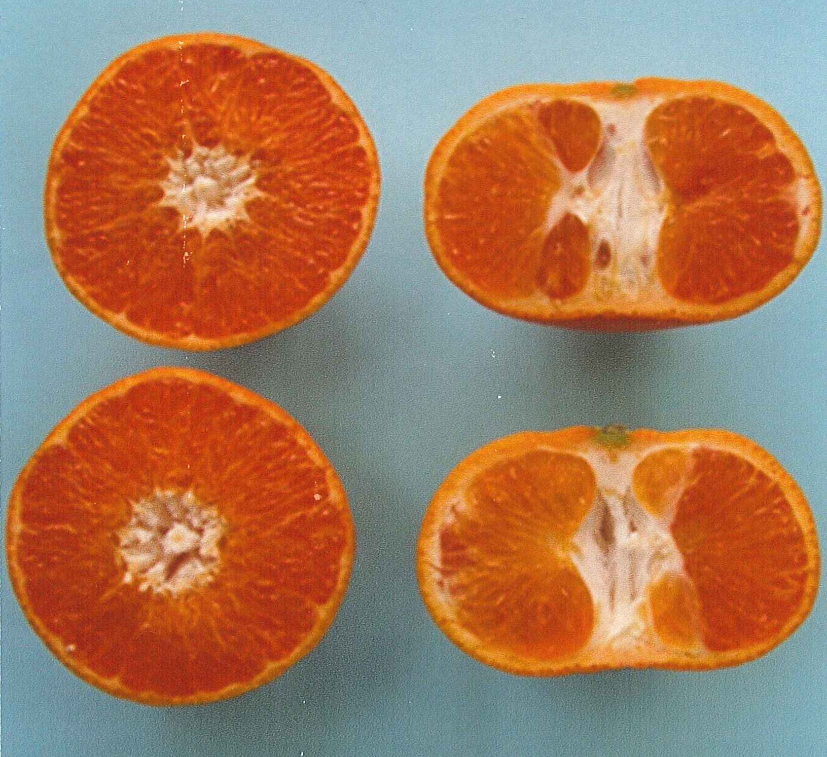 果实 (MAFF, Japan)