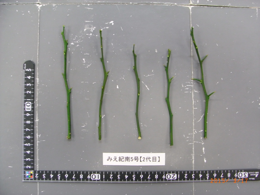 果实 (MAFF, Japan)