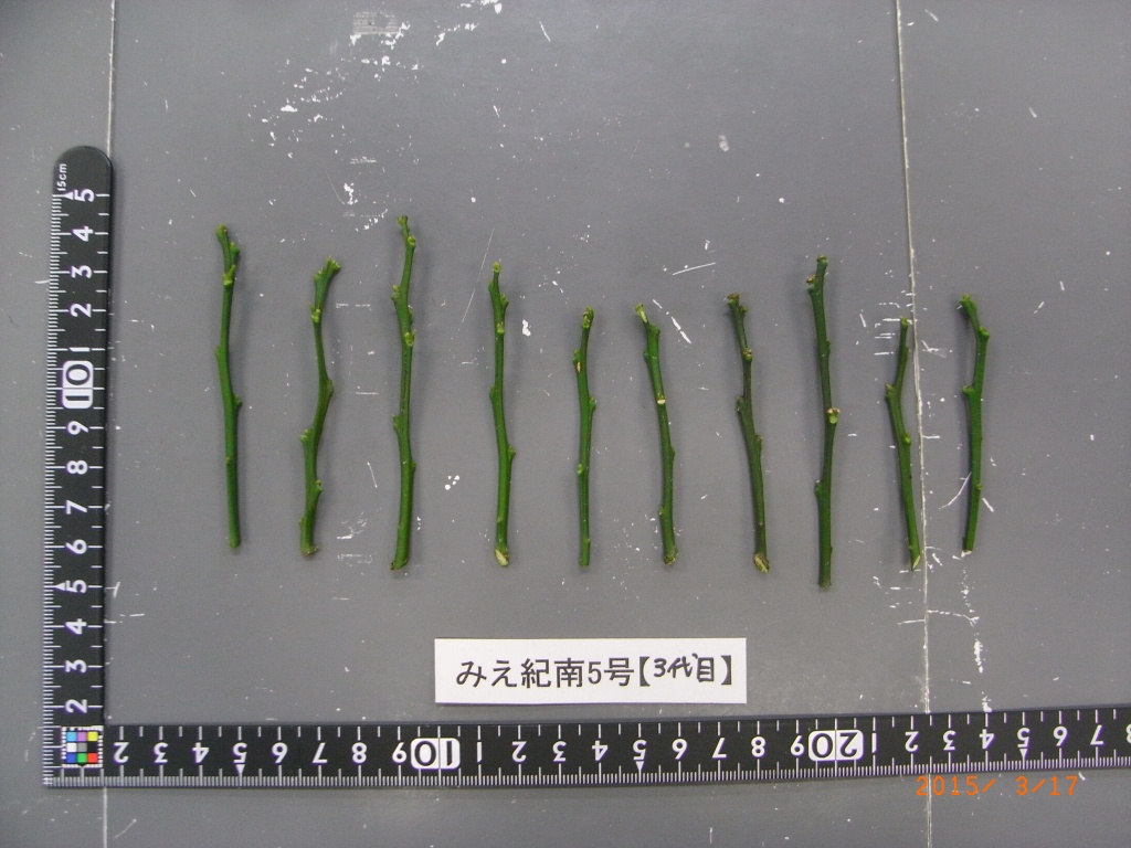 果实 (MAFF, Japan)