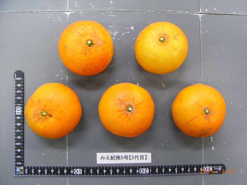 果实 (MAFF, Japan)