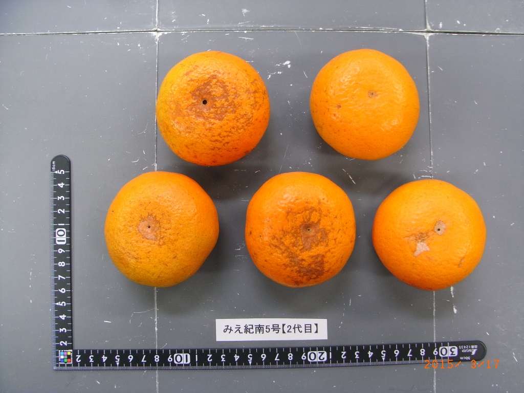 果实 (MAFF, Japan)