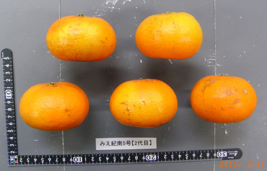 果实 (MAFF, Japan)