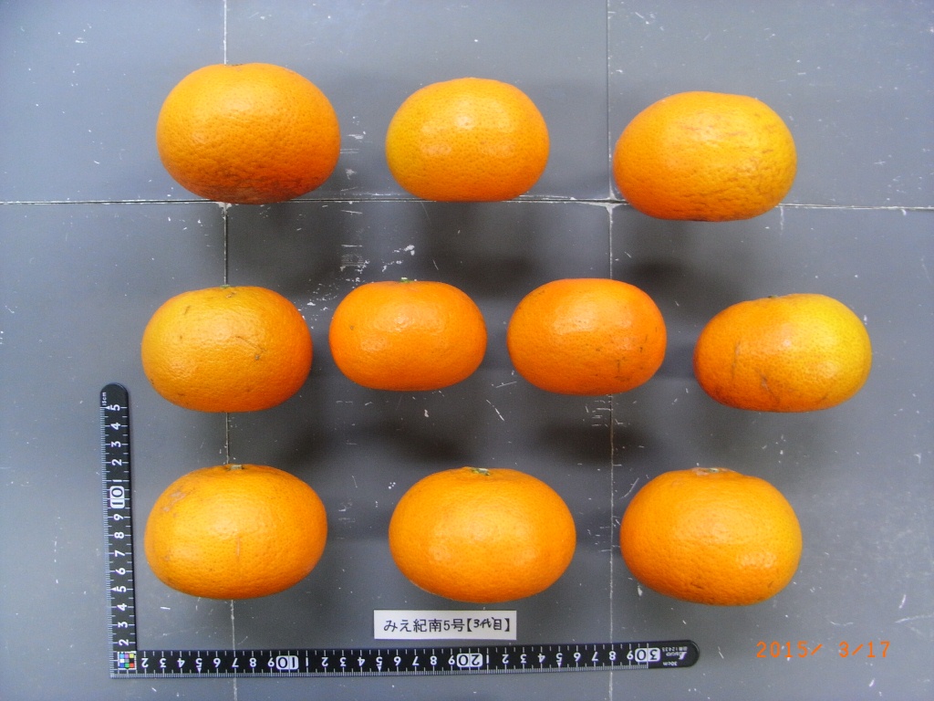 果实 (MAFF, Japan)