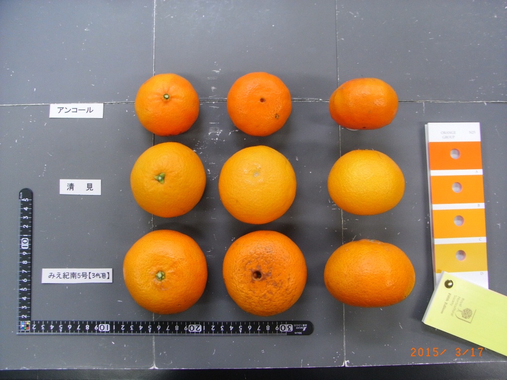 果实 (MAFF, Japan)